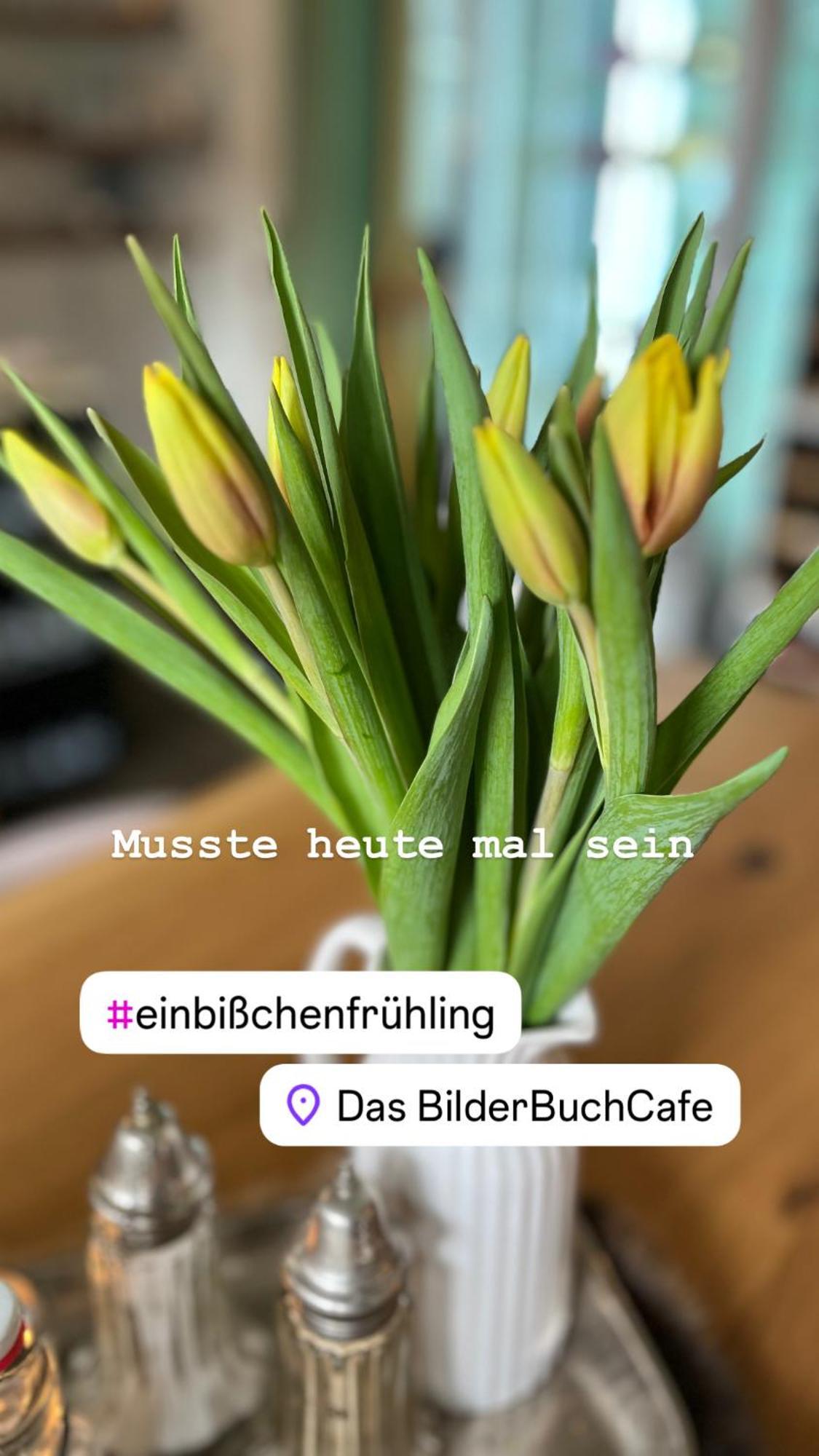 Das Bilderbuchcafe - Ferien Apartment No 5 - Markt 7 ฮาเวลแบร์ก ภายนอก รูปภาพ